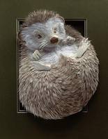 hedgehog