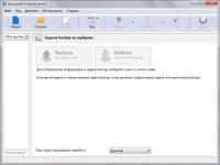 Backup4all Professional 4.6.261 + Portable