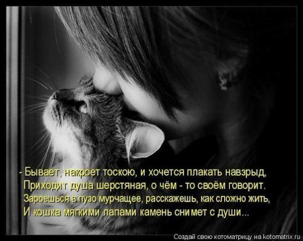 Поздравление от которого хочется плакать Поздравление от которого хочется плакать