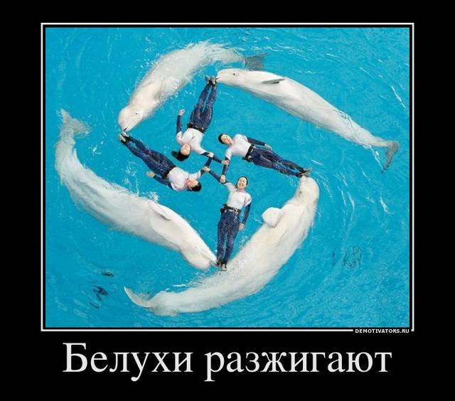 http://images.vfl.ru/ii/1328960617/50469bc5/324250_m.jpg