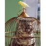 image024