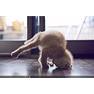 pinterest4 large