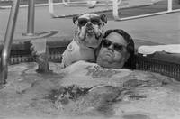 VFL.RU - ваш фотохостинг