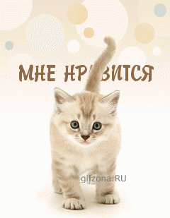 VFL.RU - ваш фотохостинг VFL.RU - ваш фотохостинг