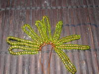 Изображение 076