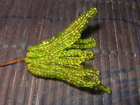 Изображение 109