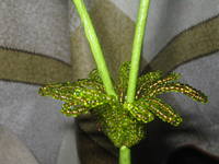 Изображение 113