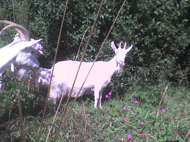 Изображение 080