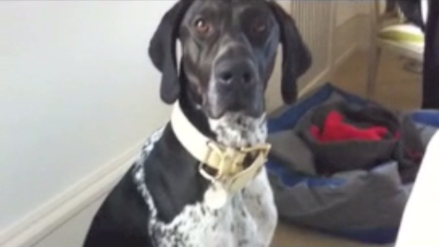 VFL.RU - ваш фотохостинг