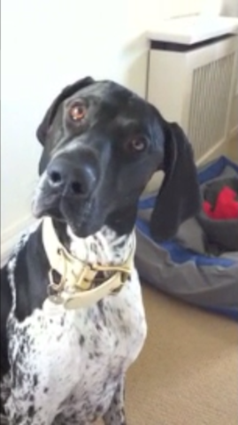 VFL.RU - ваш фотохостинг