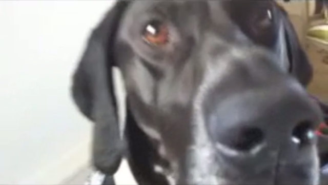 VFL.RU - ваш фотохостинг