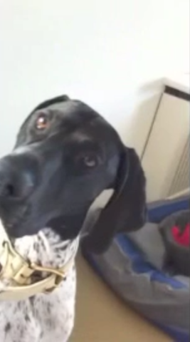 VFL.RU - ваш фотохостинг