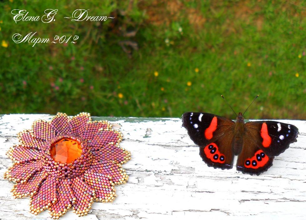 Цветок и бабочка 1