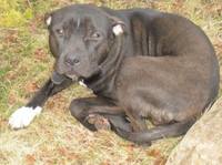 VFL.RU - ваш фотохостинг