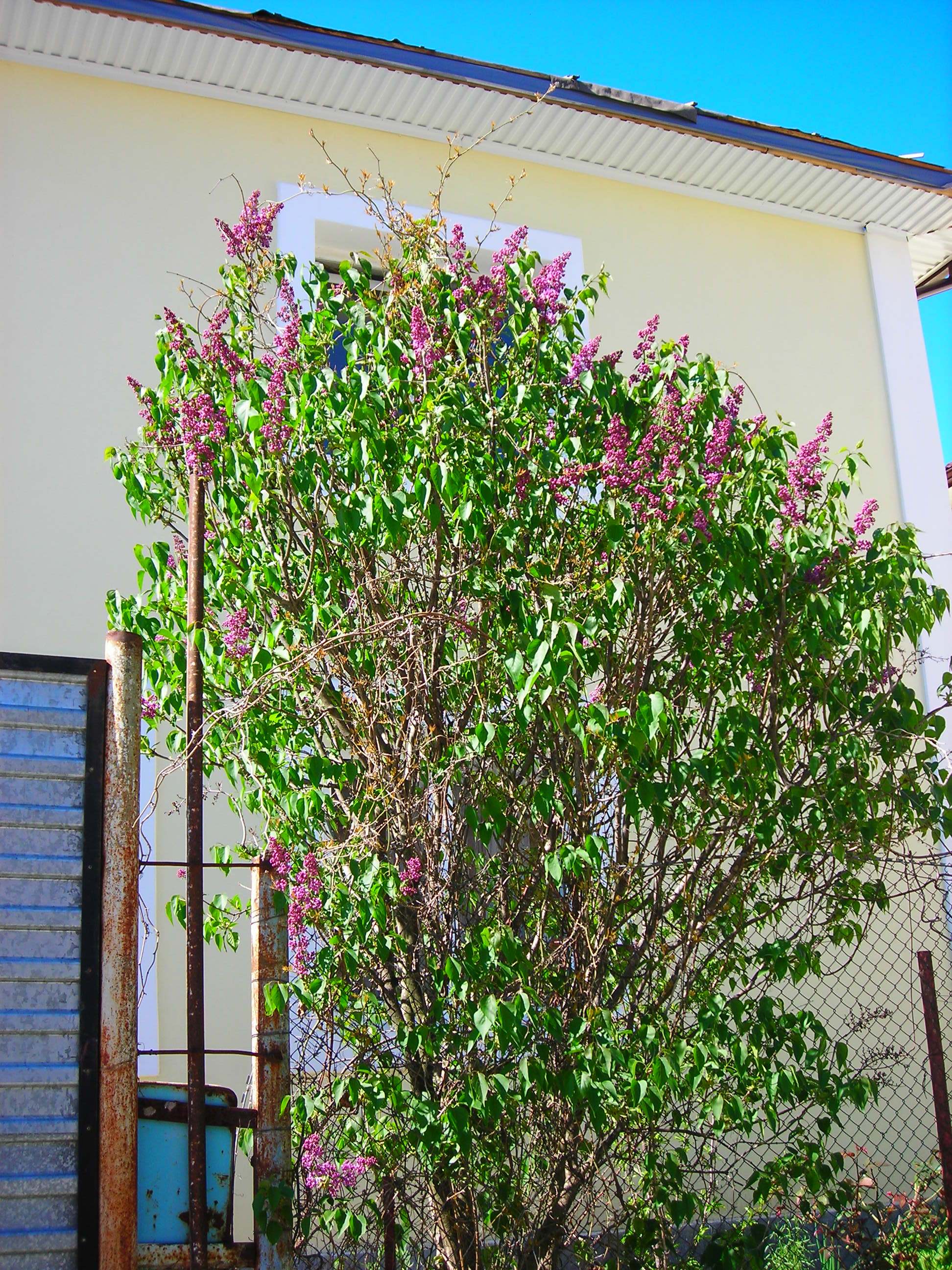 Изображение 396