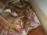 VFL.RU - ваш фотохостинг