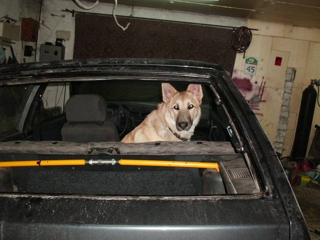 готовимся к соревнованиям