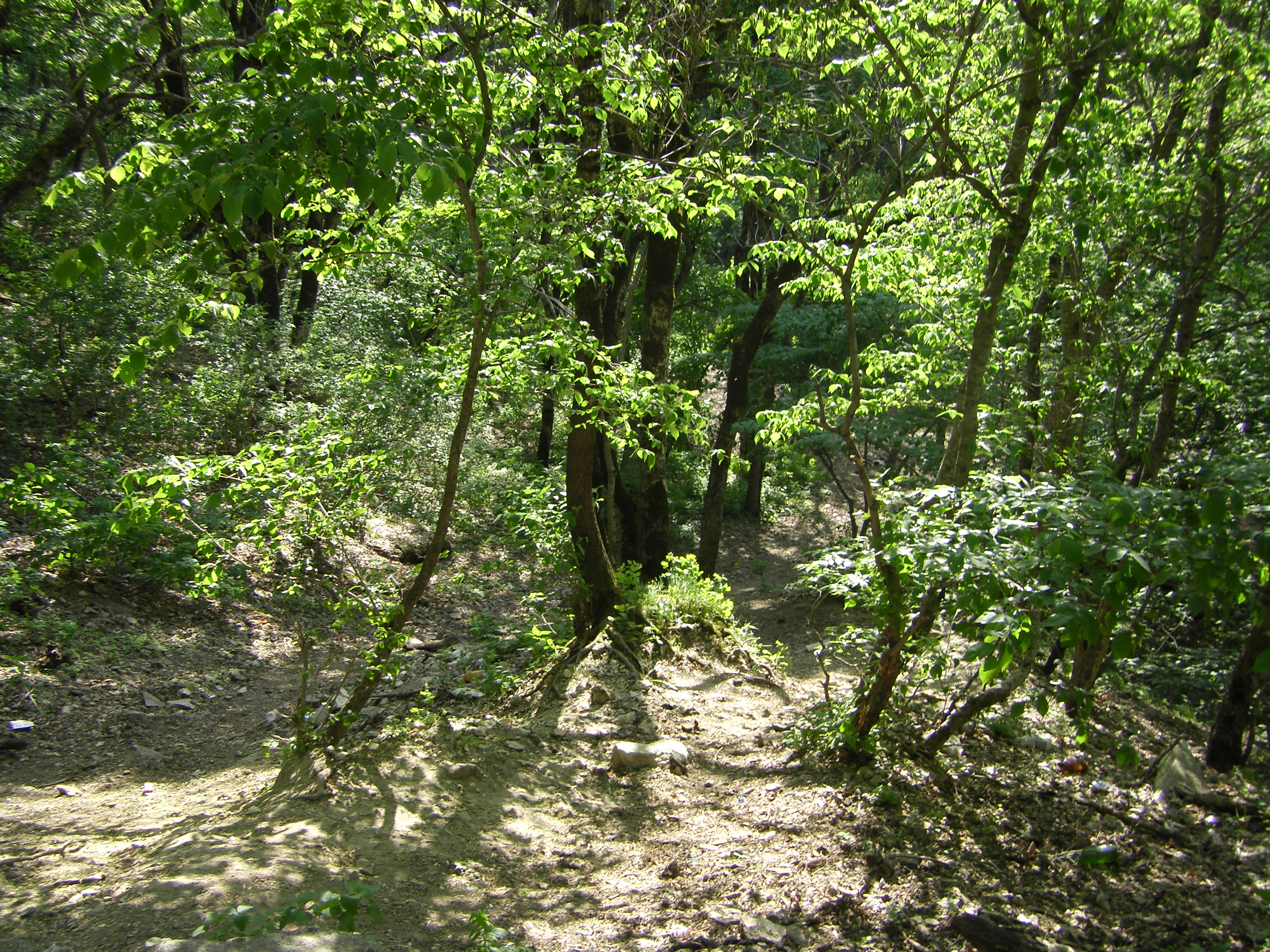 Доступность дороги к гроту