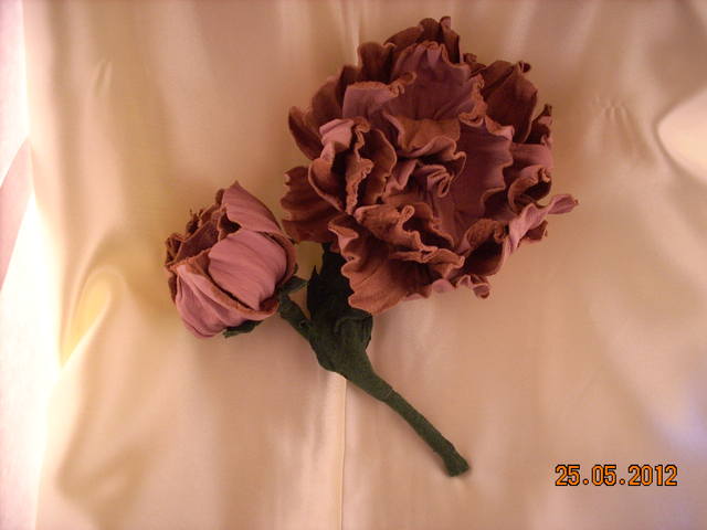 Изображение 1106