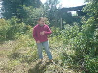 VFL.RU - ваш фотохостинг