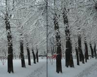 VFL.RU - ваш фотохостинг VFL.RU - ваш фотохостинг
