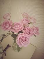 VFL.RU - ��� �����������