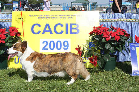 http://images.vfl.ru/ii/1339743310/193b0b40/632517_m.jpg