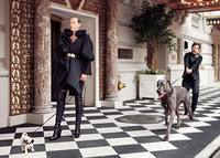 fotografii znamenitostejj ot brajjana adamsa 73 foto 34