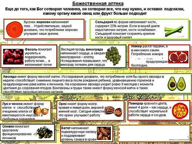 Советы по уходу за овощами Советы по уходу за овощами