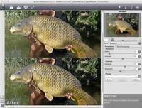 AKVIS All Plugins 2012 x86/x64 (08.07.2012) AKVIS All Plugins 2012 x86/x64 (08.07.2012)