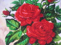 723062_s.jpg