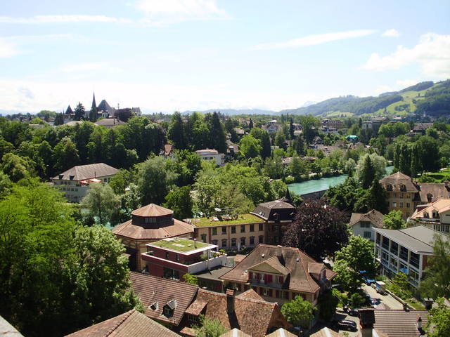 731056_m.jpg