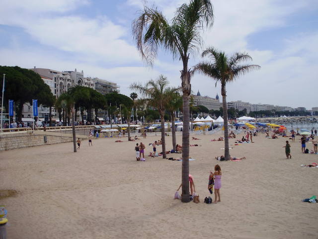 731310_m.jpg