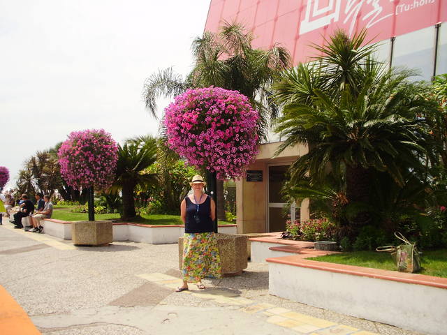 731332_m.jpg