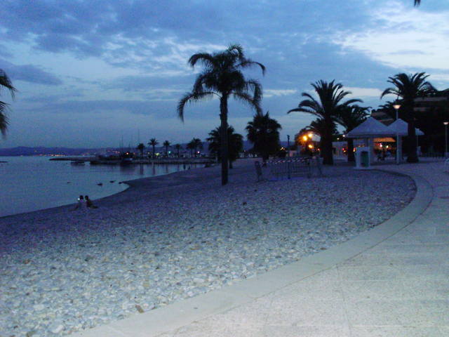 732153_m.jpg