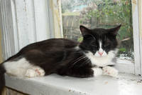 VFL.RU - ваш фотохостинг