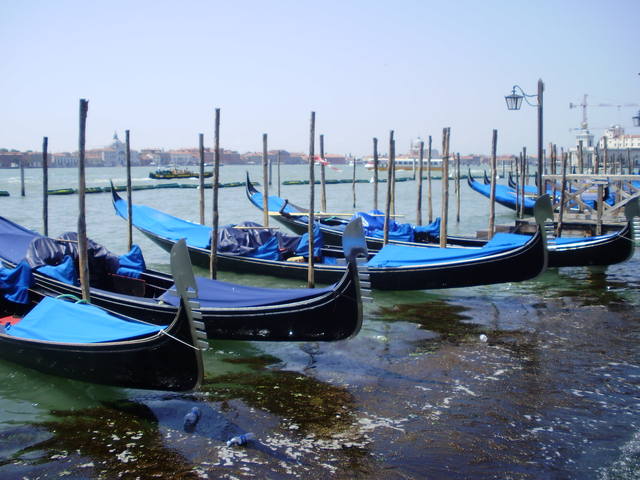 746391_m.jpg