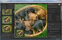 Nik Software Complete Collection 22.07.2012 (x32/x64/Eng/Rus) Nik Software Complete Collection 22.07.2012 (x32/x64/Eng/Rus)