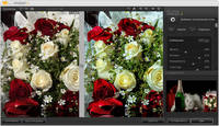 Nik Software Complete Collection 22.07.2012 (x32/x64/Eng/Rus) Nik Software Complete Collection 22.07.2012 (x32/x64/Eng/Rus)
