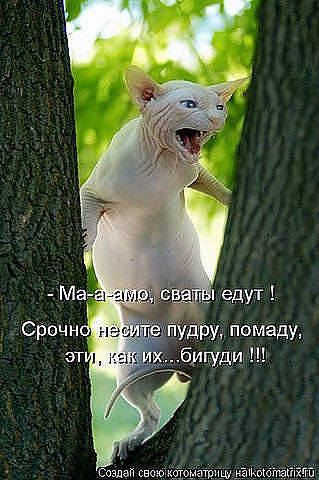 http://images.vfl.ru/ii/1343106628/40bfb139/755849_m.jpg