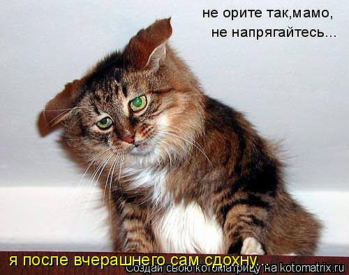 http://images.vfl.ru/ii/1343106665/d33c37ee/755852_m.jpg