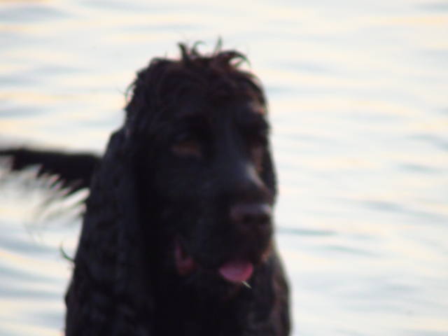 Ramses на водах, п-к КАТИЛЬЯНИ