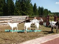 VFL.RU - ваш фотохостинг