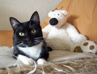 VFL.RU - ваш фотохостинг