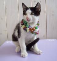 VFL.RU - ваш фотохостинг