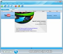 Bigasoft YouTube Downloader 1.2.8.4624 Portable by Invictus