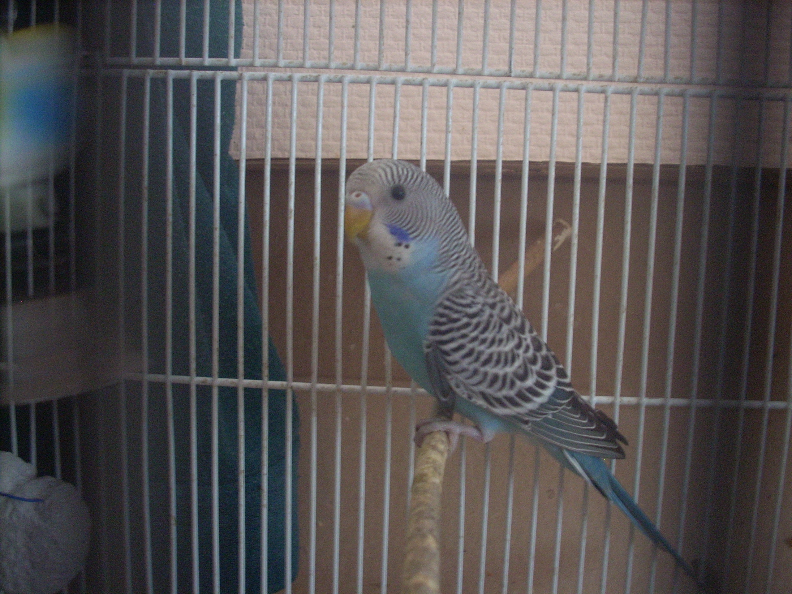 Изображение 183