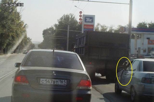 Опубликованное фото