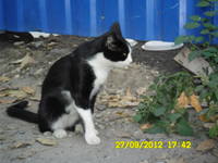 VFL.RU - ваш фотохостинг