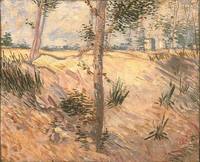 1887 Trees in a Field on a Sunny Day